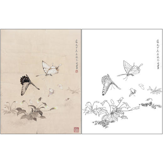梁若珠花鸟工笔画白描底稿《花蝶图》临摹勾线高清打印画稿CL10 商品图0