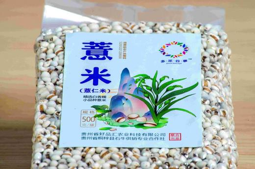 贵州黔西南兴义市多彩谷事薏米500g/袋 商品图4