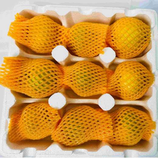 【马连庄甜瓜】儿时的味道 正宗山东青岛 地理标志产品 鲜甜脆爽 香气浓郁 商品图4