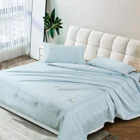 鑫缘 天丝棉夏凉水洗四件套 BSF2023