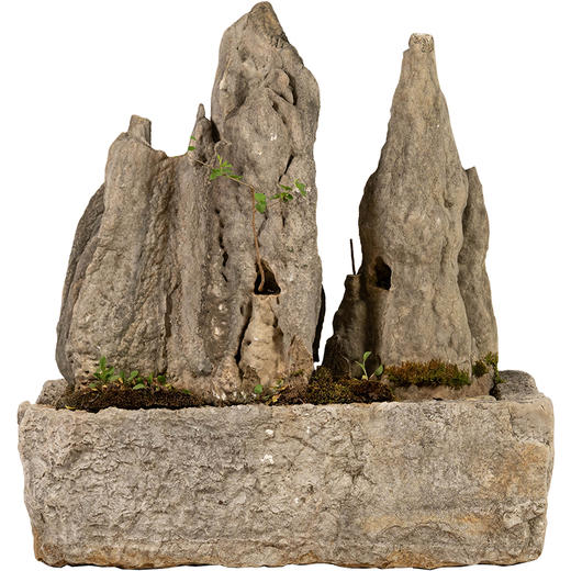 清 英石山形赏石配石盆 商品图5