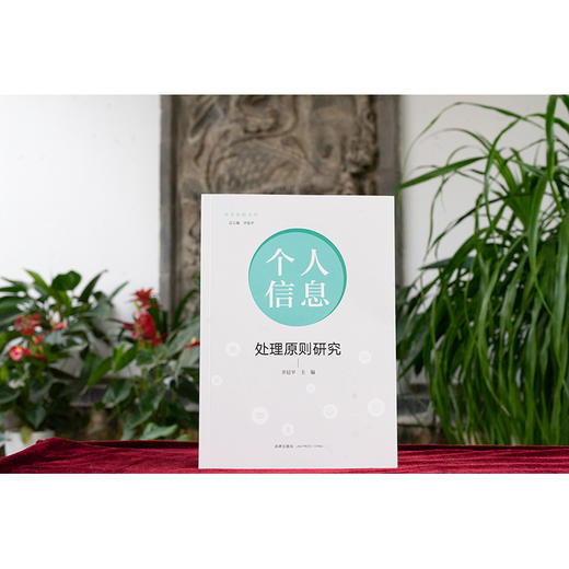 个人信息处理原则研究 齐延平主编 法律出版社 商品图1