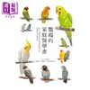 【中商原版】鹦鹉的家庭医学书 深度了解宠物鸟的健康饲养方法 远离疾病快乐陪伴 港台原版 铃木莉萌 三轮恭嗣 瑞升文化 商品缩略图1