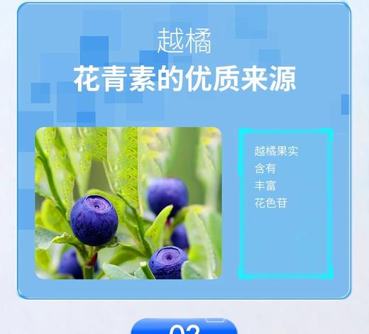 健视佳® 越橘叶黄素酯β-胡萝卜素软胶囊22.5g(0.5g/粒*45粒) 商品图6