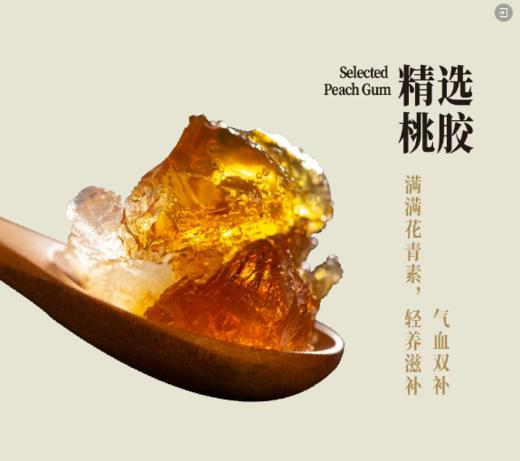 【买五送一】桃胶五红粽100g 商品图2