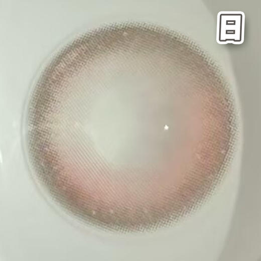 #海星果冻 粉灰色 14.2mm 【10片装】国产精品 / 日抛 商品图3