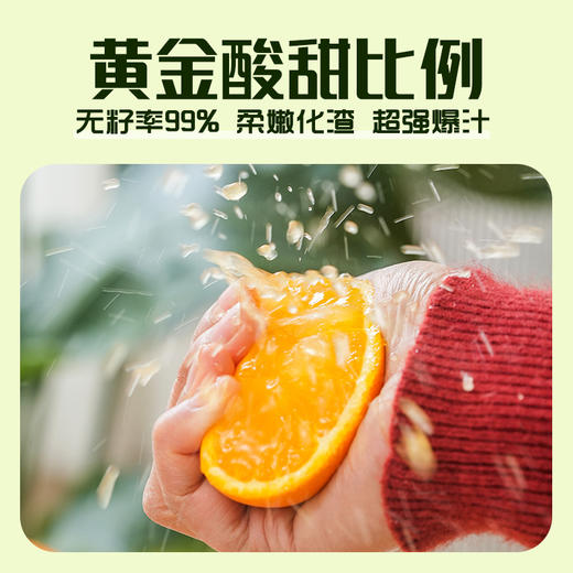 湖北秭归伦晚脐橙4.5-5斤彩箱装【分仓直发，72小时发货，周末节假日不发货】 商品图1