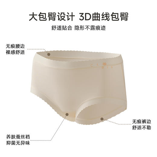 美季美优时尚纯棉女士内裤 商品图3