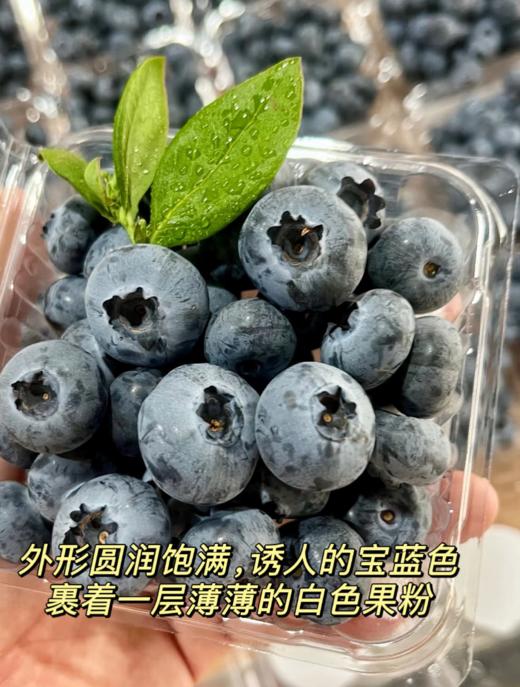 来自彩云之巅！有花香味的【莓里蓝莓】大颗饱满 果香四溢 口口脆甜 花香浓郁 富含花青素 现摘现发 新鲜到家~ 商品图5