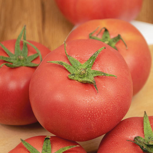 陕西普罗旺斯番茄 0催熟 真爆汁 酸甜浓郁 商品图3