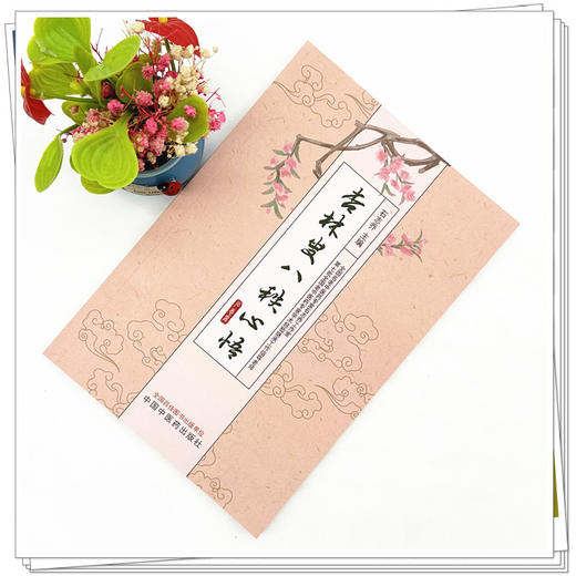 杏林叟八秩心悟 石志乔 主编 中国中医药出版社 中医内科学 脾胃病 书籍 商品图1