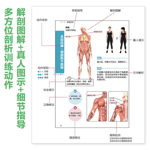 拉伸训练彩色图谱 口袋版 商品图3