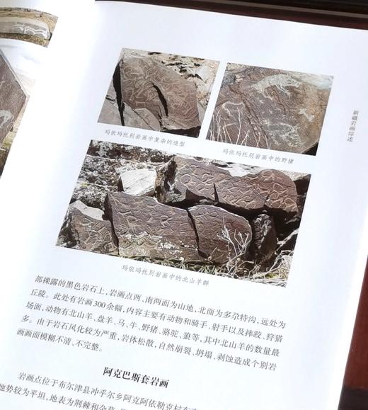 绝版！！《新疆岩画调查与编年研究》，16开，平装，铜版彩印，吕恩国著，新疆人民出版社2023年一版一印，177页，定价106，售价105元。 商品图11