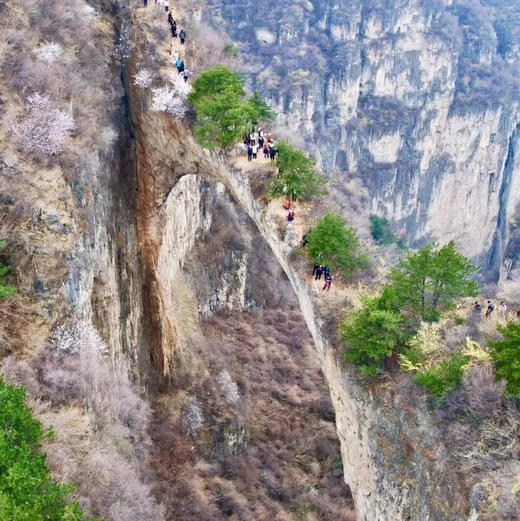 五一3天【西太行徒步 立减80元】满山连翘花开の瑛姑峡-天生桥-鹅屋-三山垴-罗姐寨 这里藏着世界级的风景！ 商品图1