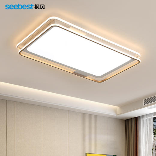 雅轩系列-客厅灯(2.4G视贝智家) 商品图0