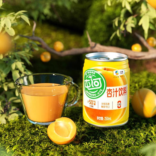 中粮屯河杏汁礼提装250ml*10 商品图5