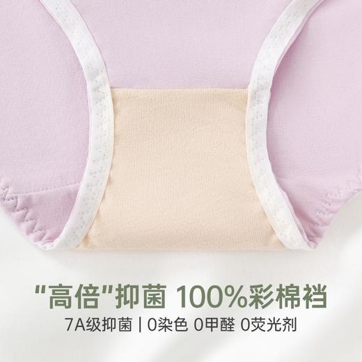 3部顶瓜瓜简约玉肌棉女士中腰内裤3条DNKWC-AR32374-3 商品图4