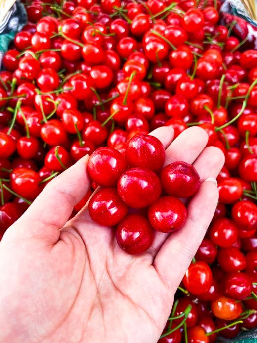 玛瑙红樱桃 商品图2