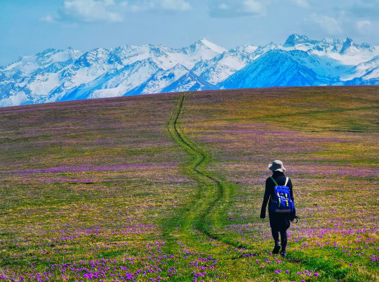 野奢中国 | 天山喀拉峻草原徒步（新疆伊犁）