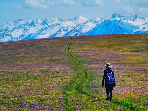 野奢中国 | 天山喀拉峻草原徒步（新疆伊犁） 商品图0