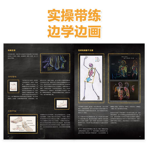 形体的艺术 人体绘画中的肌肉塑造 人体结构造型动态解剖肌肉绘制人体手绘 人体骨骼结构肌肉解剖 商品图2