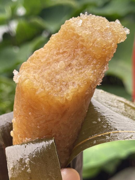 来自巴马长寿之乡！火麻粽【长寿草灰粽】馅料超足 软糯咸香 入口即化 不油不腻 糯叽叽超美味 商品图7