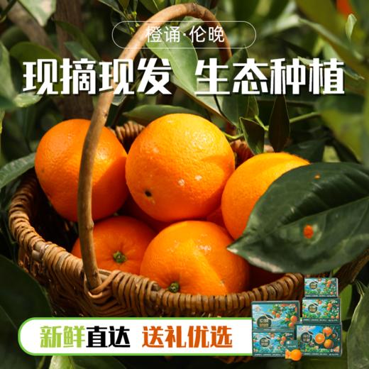 湖北秭归伦晚脐橙4.5-5斤彩箱装【分仓直发，72小时发货，周末节假日不发货】 商品图4