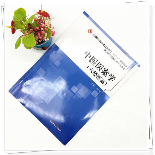 中医医案学:六经医案 刘力红 主编 全国中医药行业高等教育十四五创新经典中医教材 中国中医药出版社 经方临床医案六经辨证书籍 商品图1