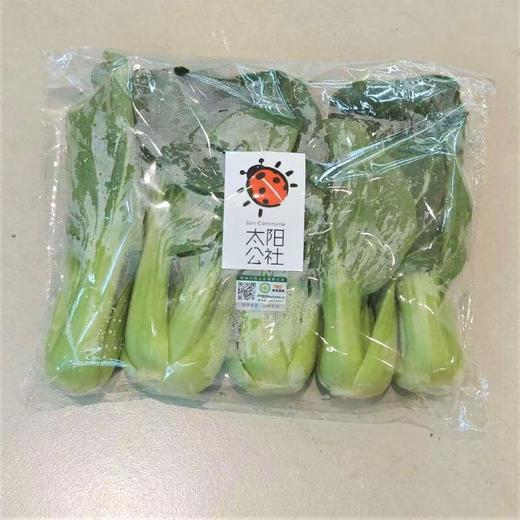 太阳公社有机青菜 250g/份 商品图0