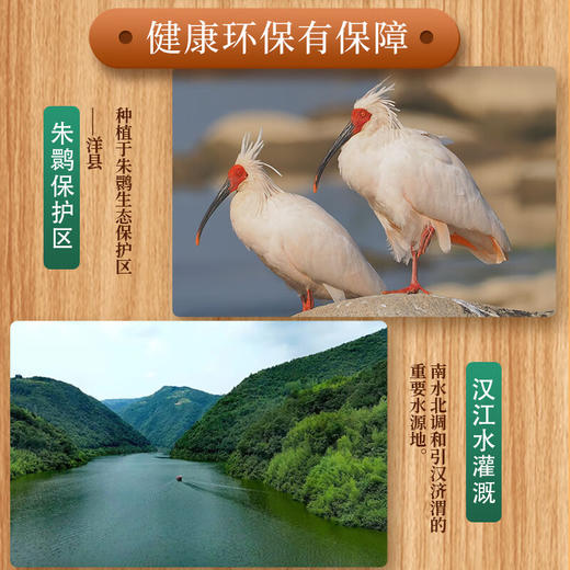 【千年贡米 地标认证】周大黑洋县黑米2025年新米朱鹮之乡长粒黑米厂家直发无染色真空锁鲜包装 洋县黑米黑米2.5kg 商品图1