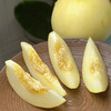 山东小蜜蜂甜瓜 巴掌大 飙蜜汁 商品缩略图6