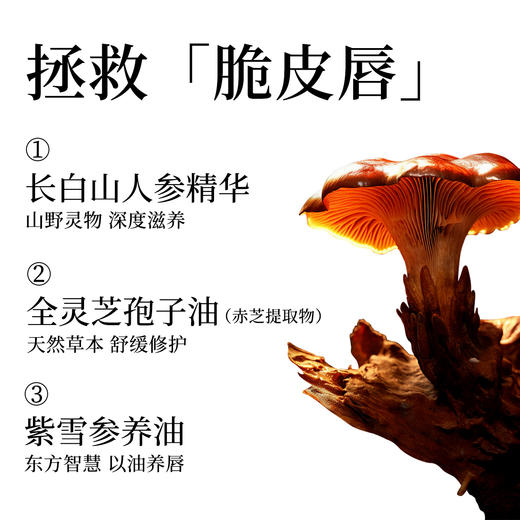 松生人参精华唇膜紧致抗皱滋养7g大容量修护唇部保湿润唇膏唇油膜 商品图3