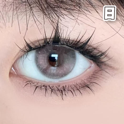 #海星果冻 粉灰色 14.2mm 【10片装】国产精品 / 日抛 商品图2