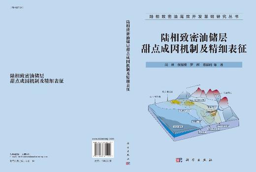 陆相致密油储层甜点成因机制及精细表征 商品图3