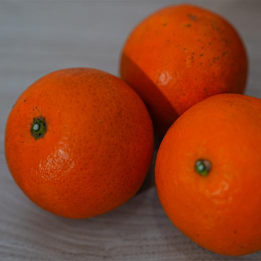 都乐Dole玫瑰香橙2.5kg 商品图2