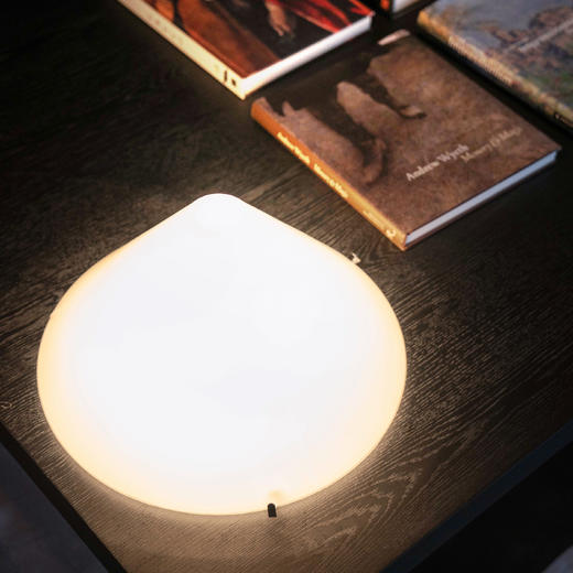 摩根荔枝系列面光台灯 商品图3