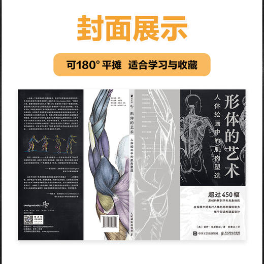 形体的艺术 人体绘画中的肌肉塑造 人体结构造型动态解剖肌肉绘制人体手绘 人体骨骼结构肌肉解剖 商品图4