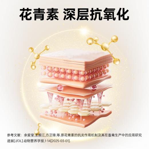 【澳龙】莫瑞加皮康专业皮毛宠物营养补充剂医院同款猫狗通用 商品图1