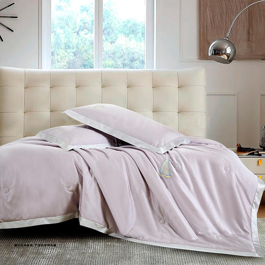 鑫缘 天丝棉夏凉水洗四件套 BSF2023 商品图3