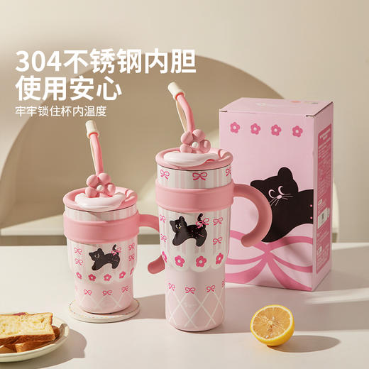 摩登主妇保冷保温杯女士高颜值吸管杯2025新款水杯大容量冰霸杯子 商品图1