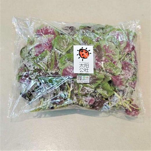 太阳公社有机红米苋 250g/份 商品图0