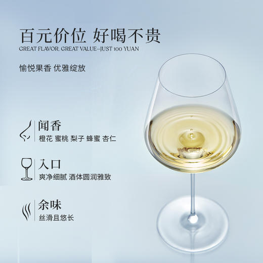 新品西鸽酒庄N18干白葡萄酒750ml 商品图6