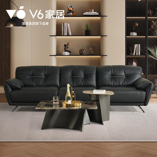 RFA1-181 天鹅湖 商品图1