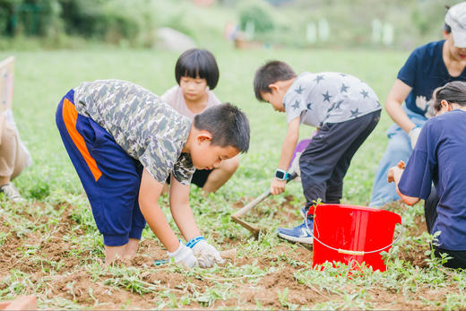 五一招募 | 3天2晚 土窑建造美食营 商品图10