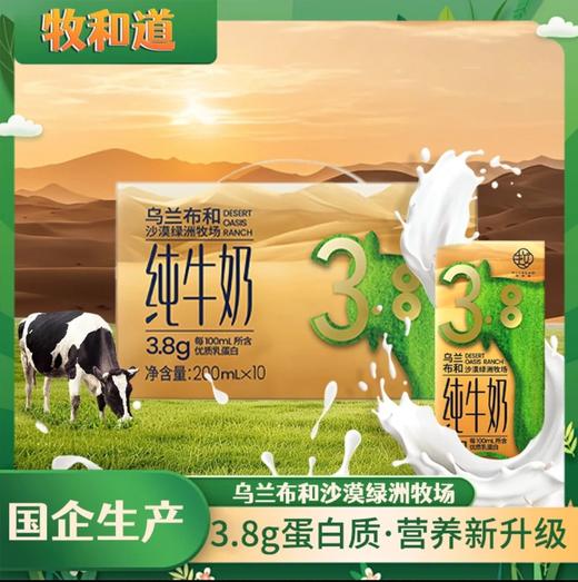【3.8高蛋白的优质牛奶】牧和道3.8纯牛奶 200mlx10盒/箱 商品图0