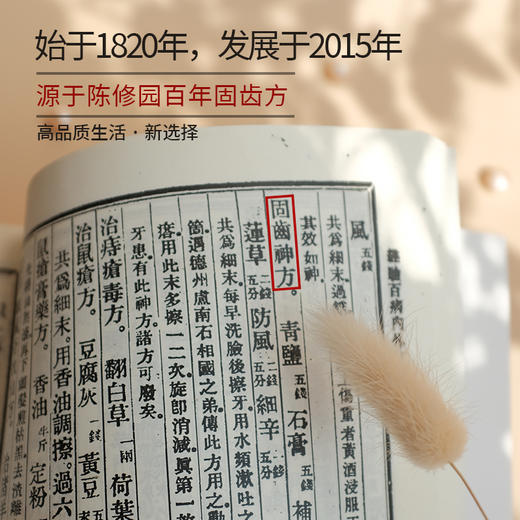 【陈修园·百年古方】皓齿安植物洁牙粉 多规格可选【套组牙刷颜色随机】 商品图1