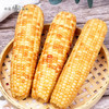 粹品沁采西双版纳小花糯玉米1.5kg 商品缩略图3