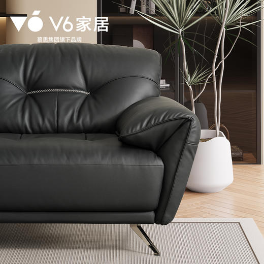 RFA1-181 天鹅湖 商品图4