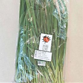 太阳公社有机韭菜 250g/份