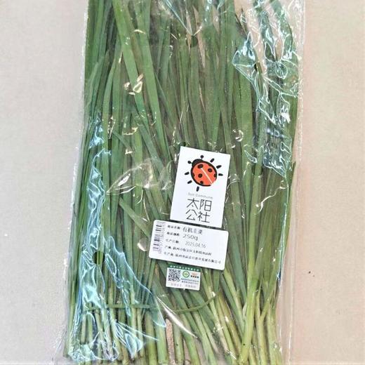 太阳公社有机韭菜 250g/份 商品图0